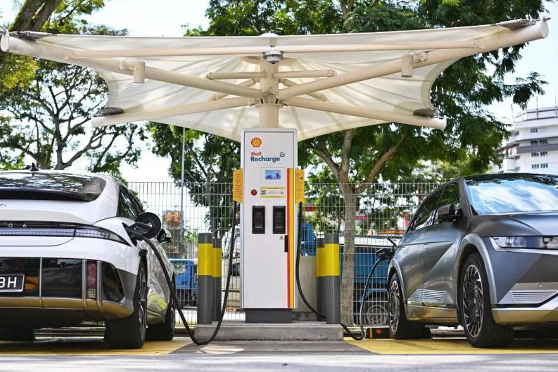 (Image source: The Straits Times)