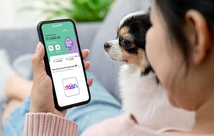 When your dog side-eyes you not knowing that more savings mean more treats. Dash PET. Credit: Singtel.