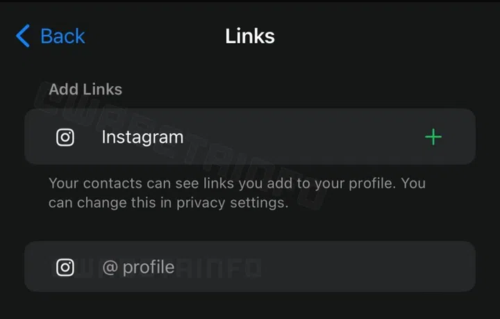 WhatsApp could support more social media platforms in the future. Photo: WaBetaInfo
