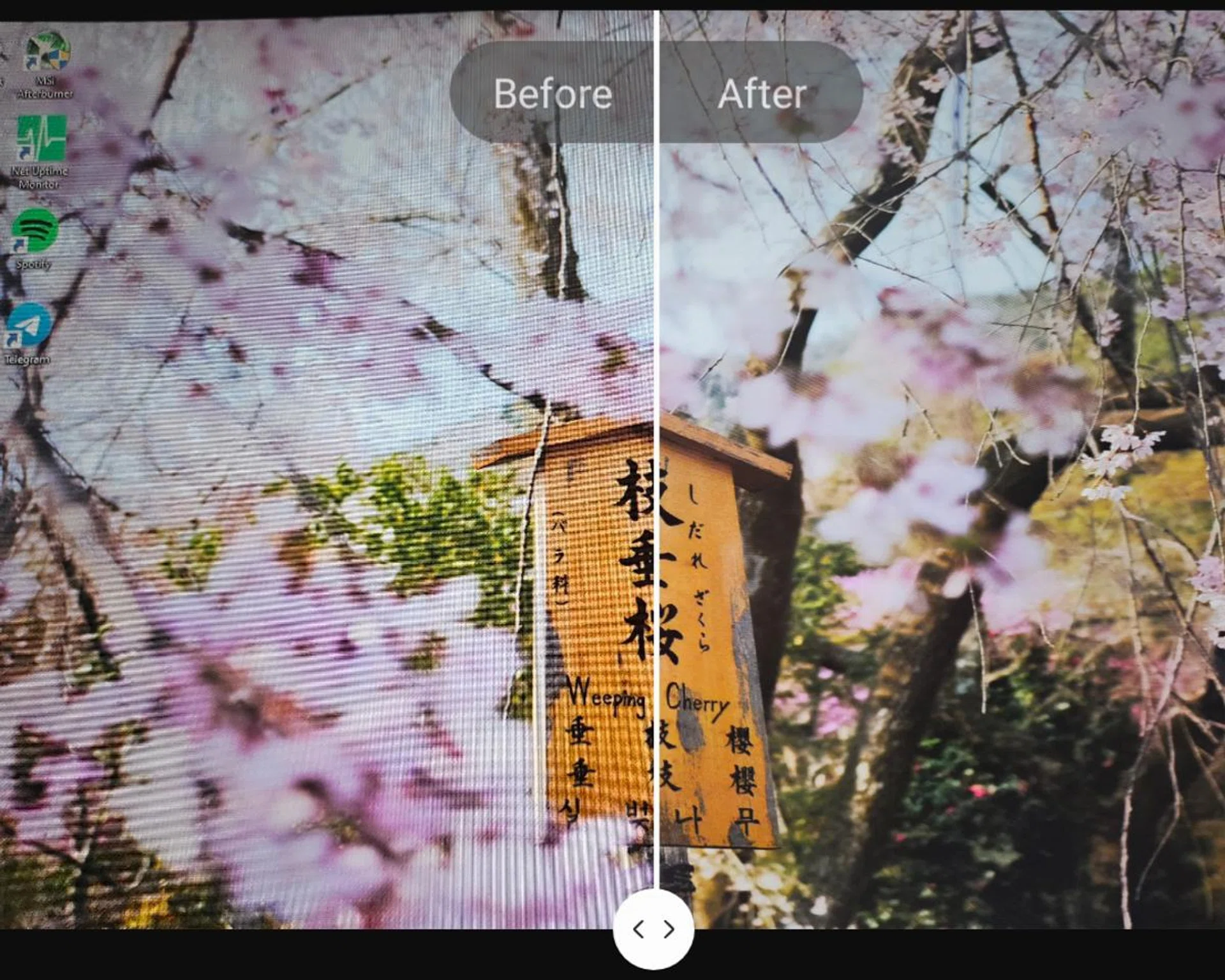 Comparison of Moiré feature.