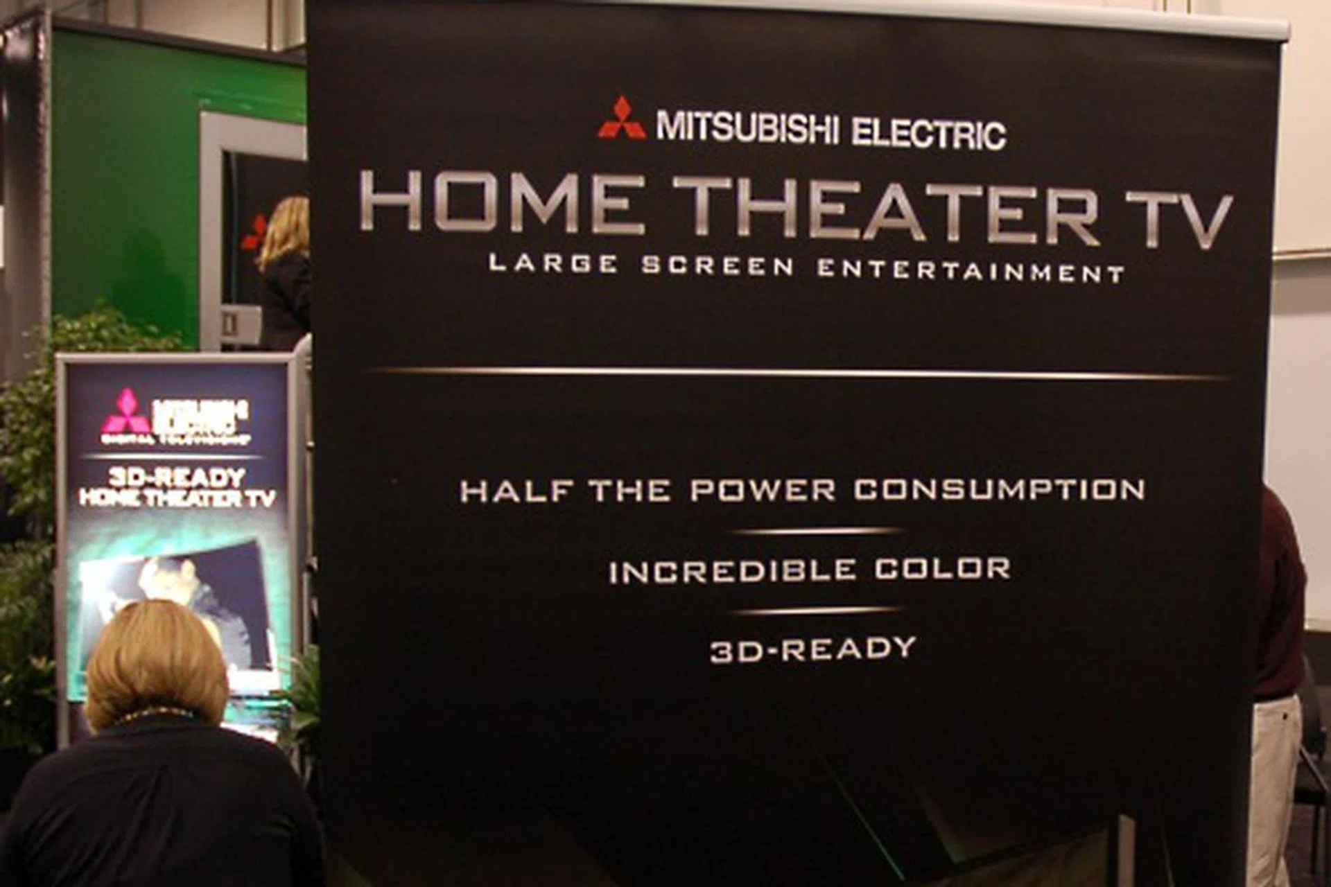 A big fish in a small pond, Mitsubishi was the clear brand name among the other vendors at CES 2010's designated 3D Tech Zone.