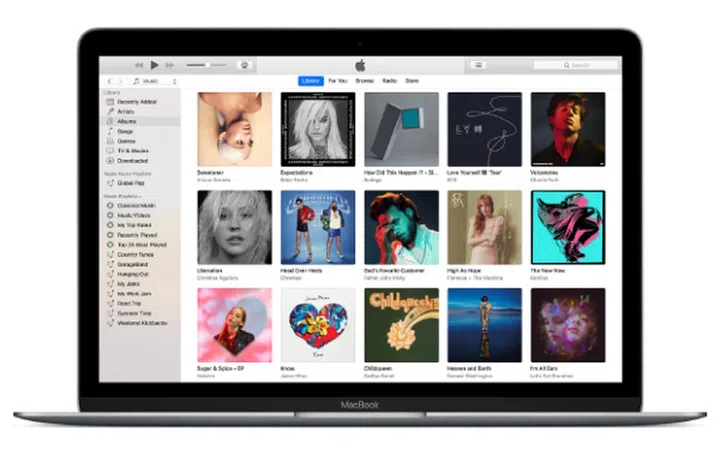 (Image source: Apple)