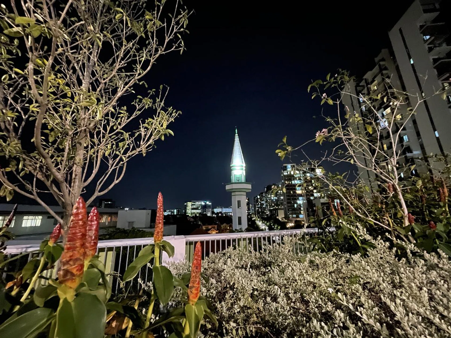 Shot with the iPhone 12 Pro's ultra wide camera in Night mode. Click to see full image.