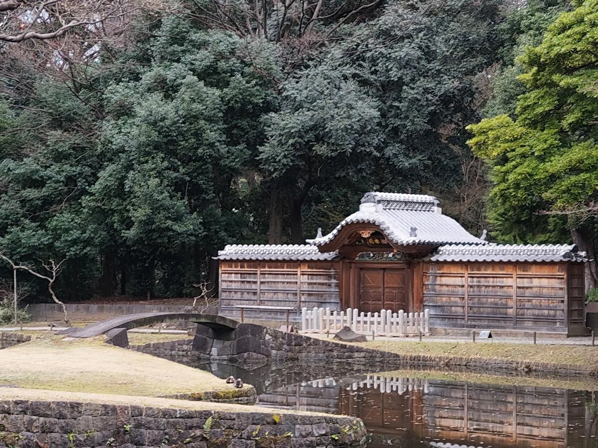 Nothing Phone (3a) 4x in-sensor zoom. Photo: HWZ.