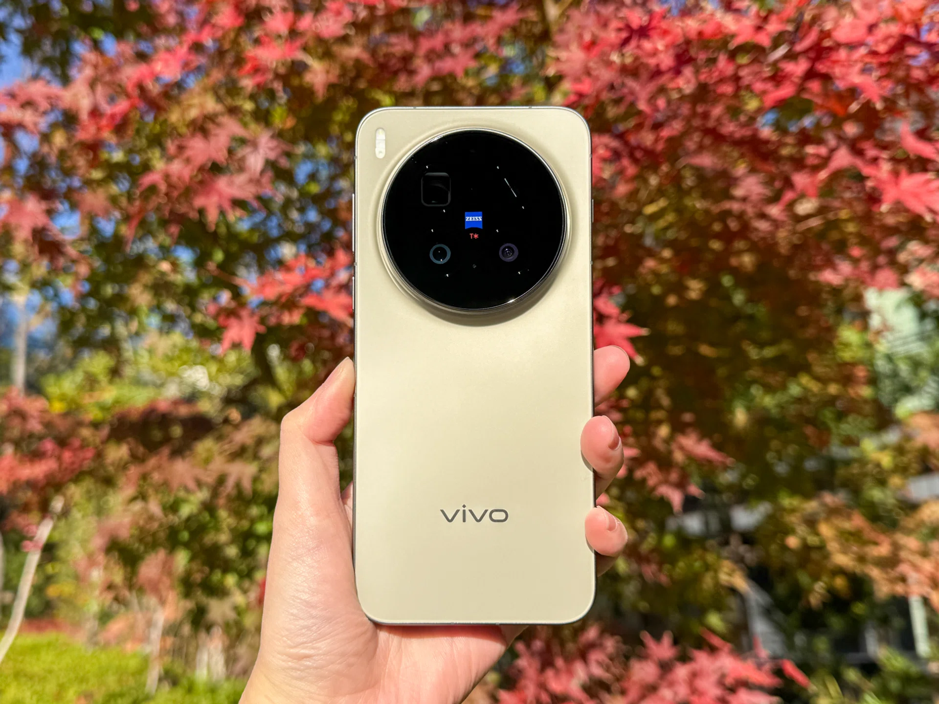 Vivo X300 Pro in Dune Brown.