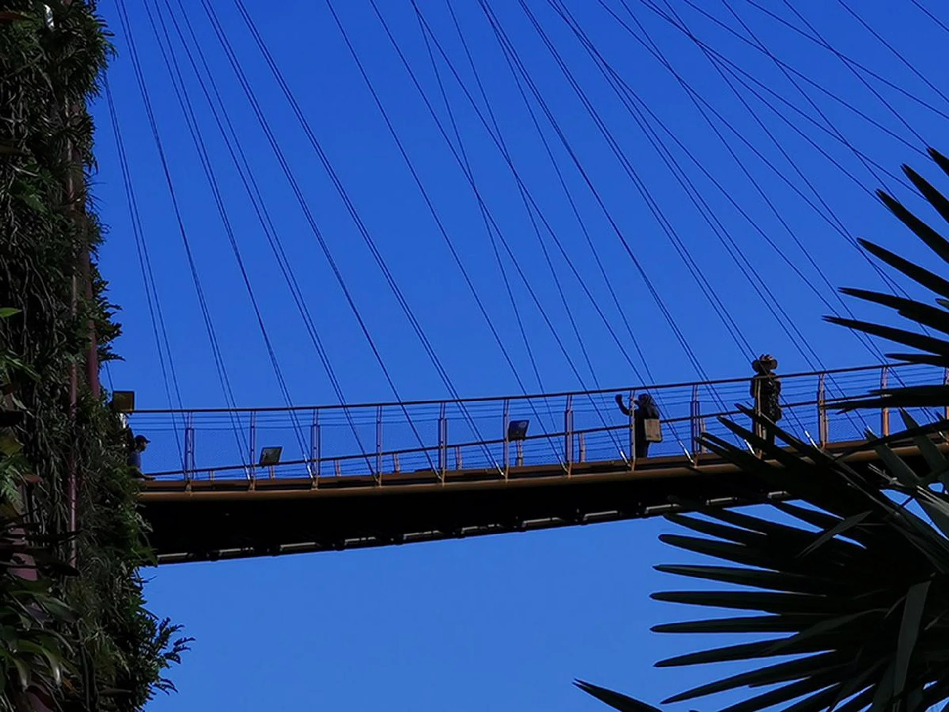 Huawei P30 Pro - 10x zoom. (Click for full resolution image)