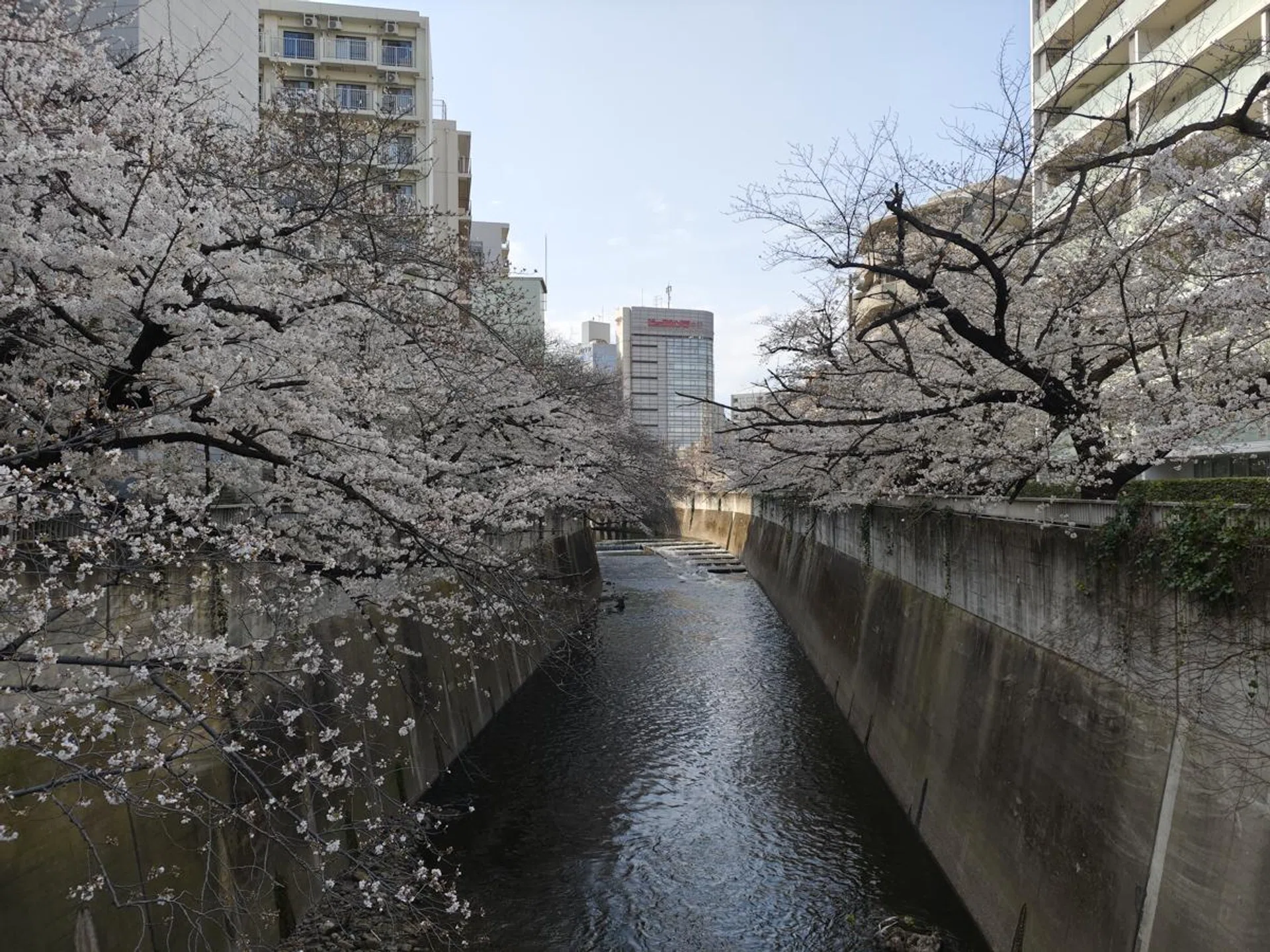 Main camera. Photo: HWZ.