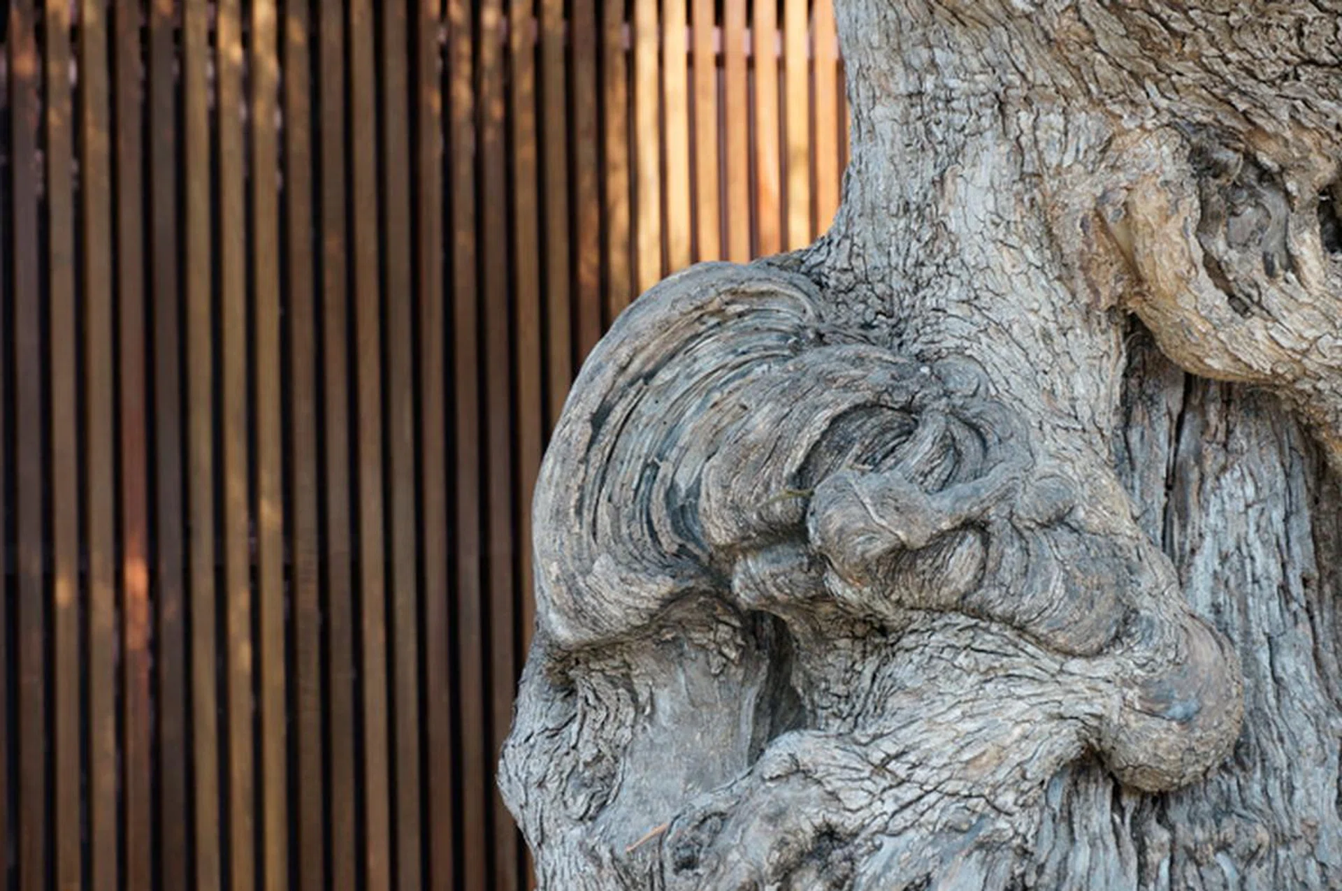 f/7 at 72mm, 1/50 sec, ISO 320.