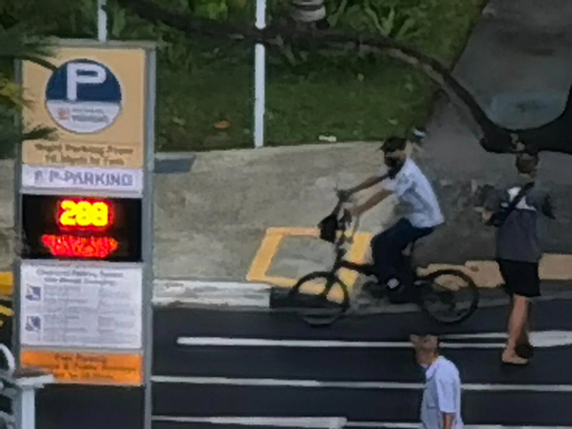 50x zoom, maximum zoom.