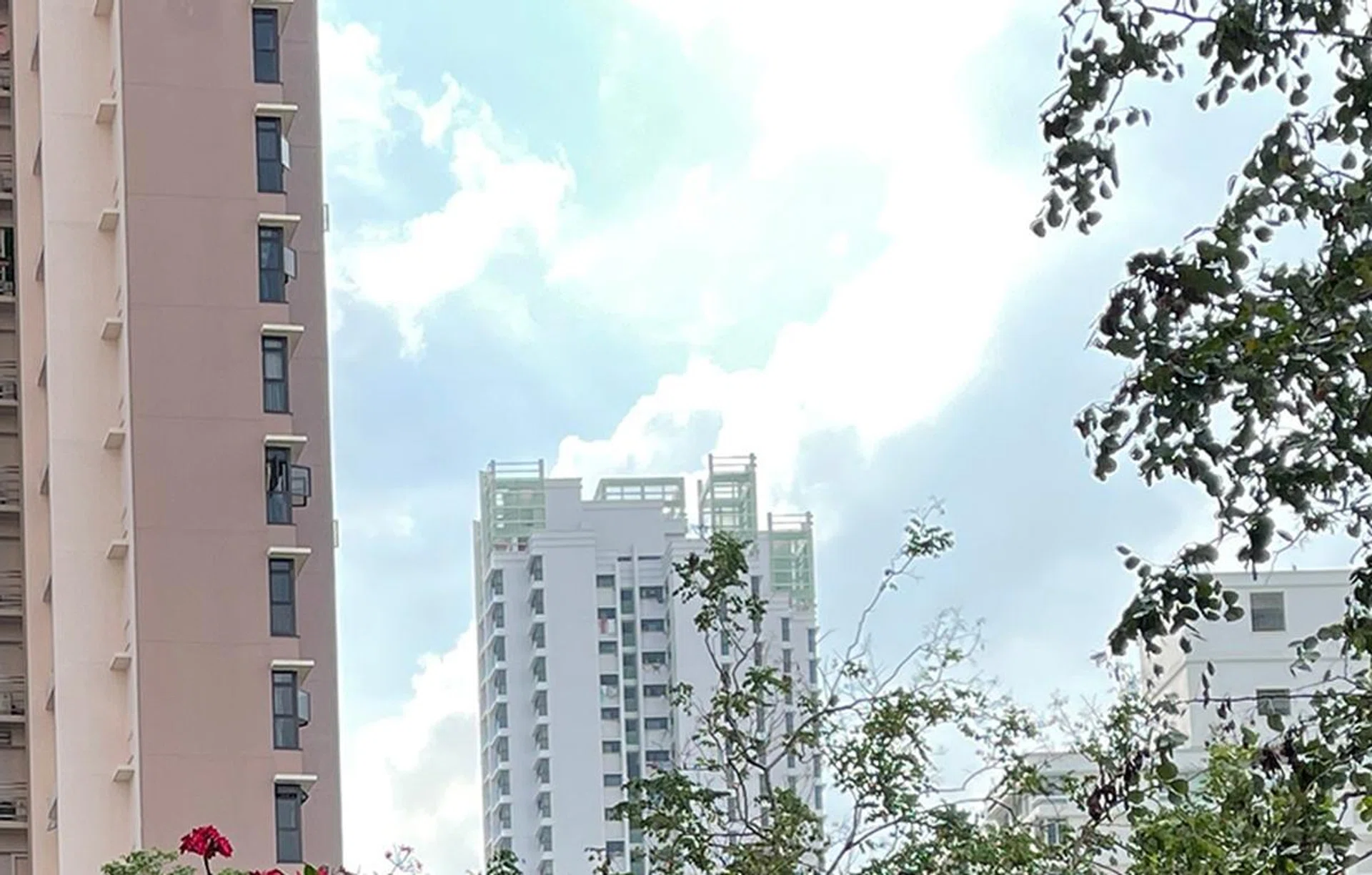 Apple iPhone 12 Pro Max.