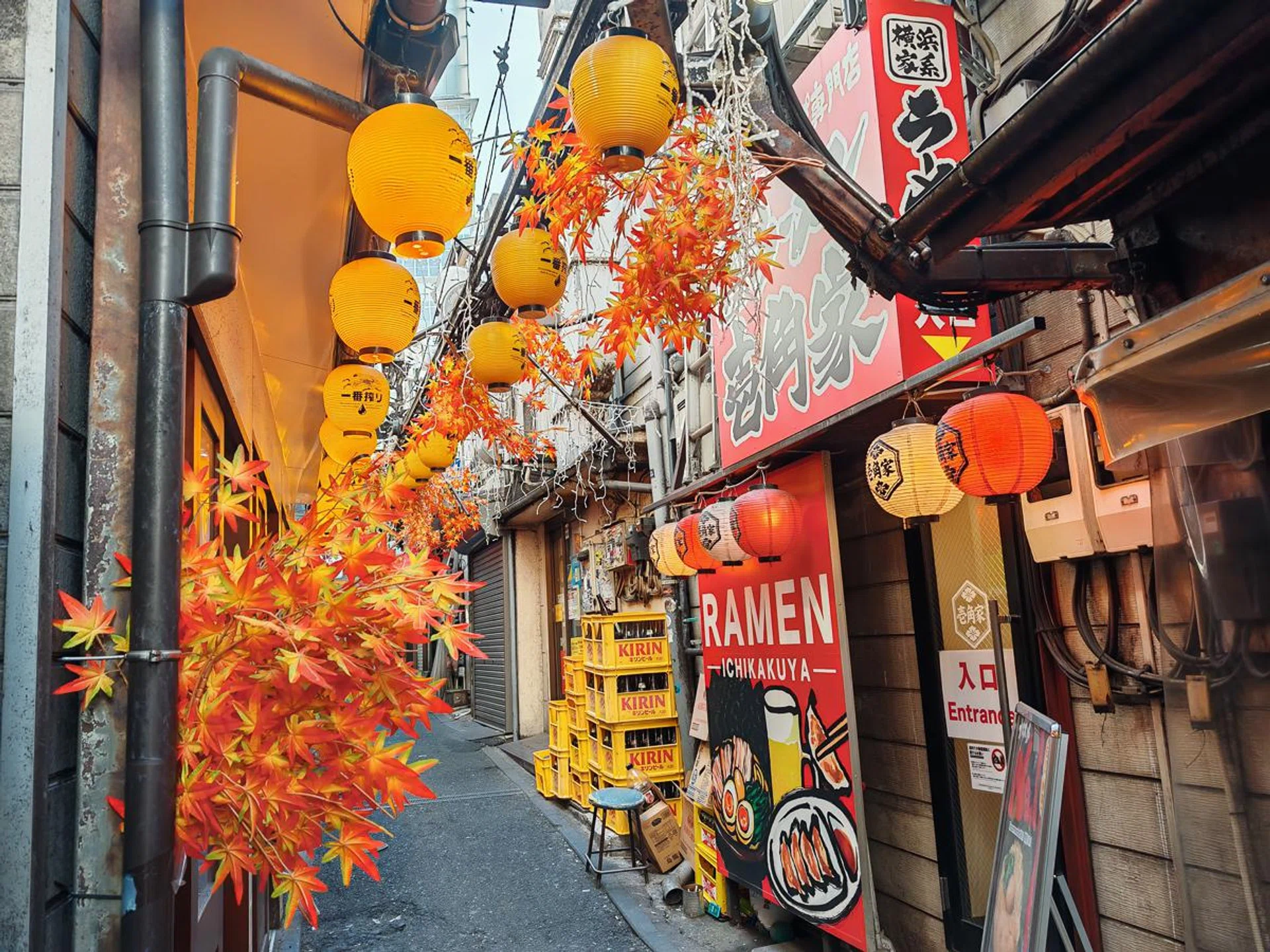 Honor Magic6 Pro. Photo: HWZ.