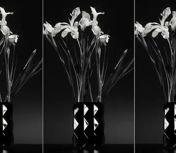 Saint Laurent Introduces Lifestyle Products By Creative Director Anthony Vaccarello