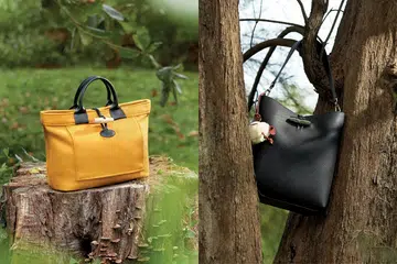 Longchamp Le Roseau bag