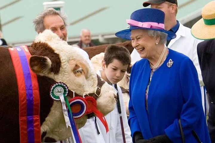 At the Great Yorkshire Show with the prize-winning bull.

Photo: Carol Stevens