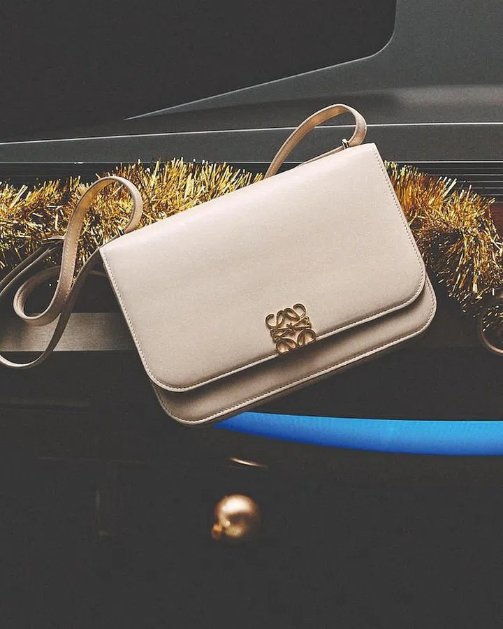 Goya bag (Photo: LOEWE)