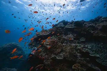 Nusa Penida Marine Protected Area