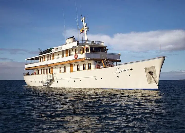 You don’t have to endure frigid weather to get close to the tuxedoed wonders of the animal kingdom: There are colonies of Galápagos penguins in the waters off Bartolomé and Isabela islands. To see them, charter Princess Grace’s royal honeymoon yacht, the M/Y Grace, or settle at Santa Cruz Island’s luxe Pikaia Lodge. But you need to act fast: Climate change is taking a toll, and the birds’ numbers are declining rapidly. Photo: Latin Excursions