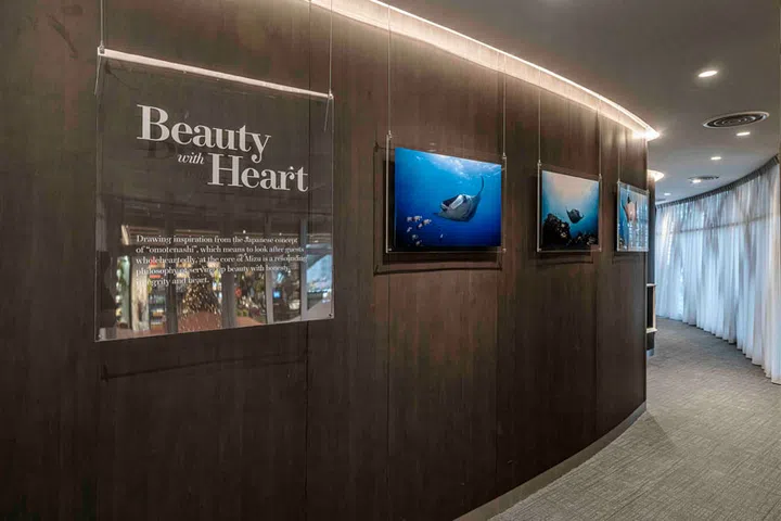 mizu-aesthetic-clinic-interior