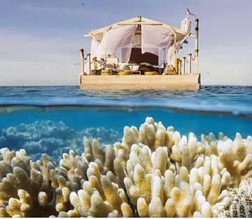 airbnb great barrier reef
