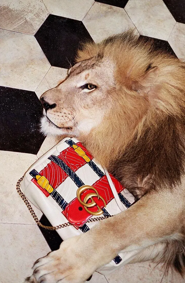 Photo: Courtesy of Gucci