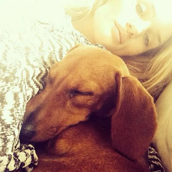 Amp up the cute-factor by posing with a furry friend like Rosie Huntington-Whiteley.