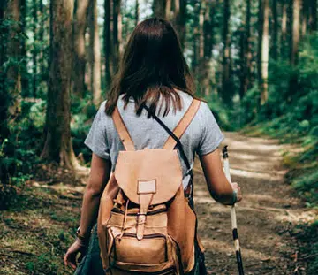 forest bathing