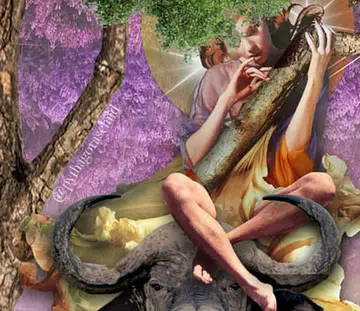 Pythagoras Child, Horoscope, Astrology, Zodiac, Taurus