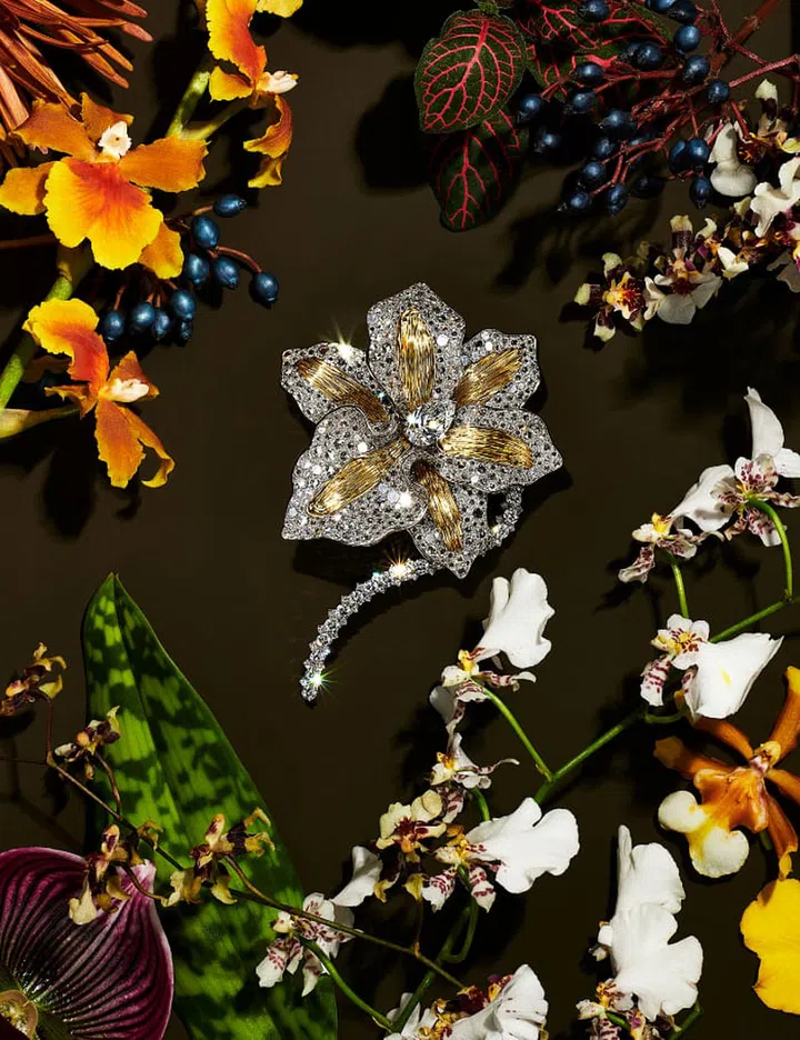 Tiffany & Co. Debuts BOTANICA Collection With Gal Gadot As The Face Of Its Campaign-Orchid Brooch