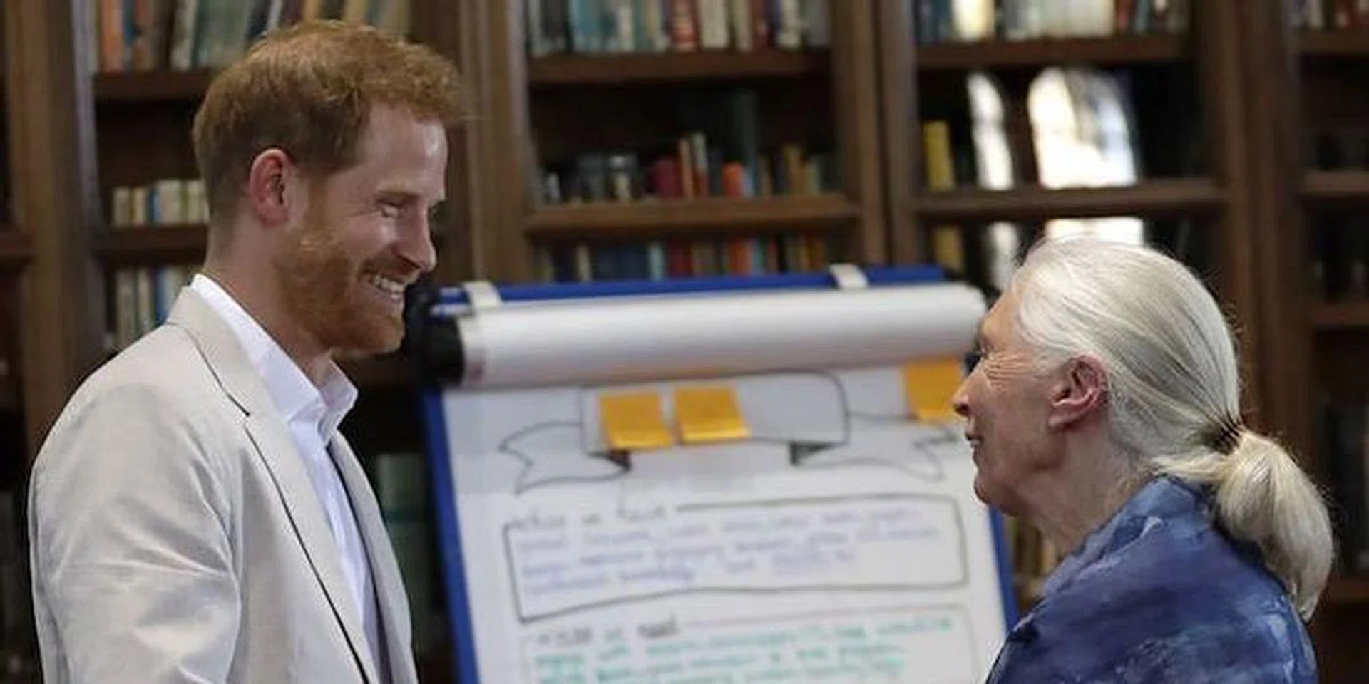 Jane Goodall Prince Harry