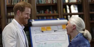 Jane Goodall Prince Harry