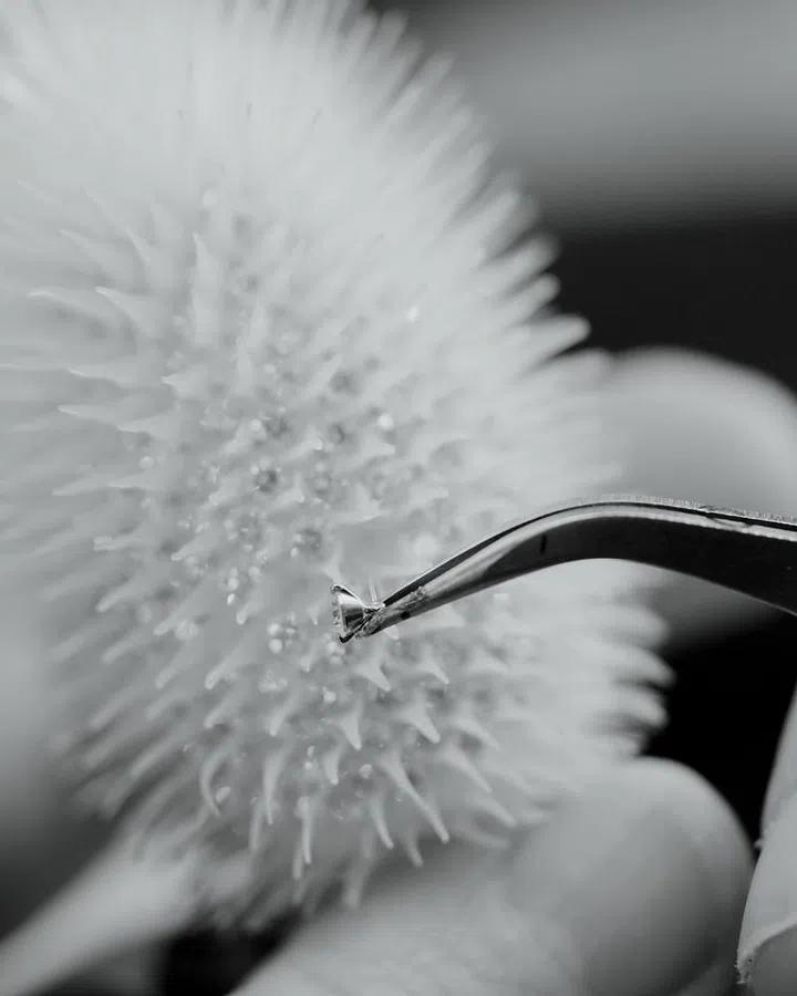 Diamonds sewn in onto the thistle flower head come in different sizes.