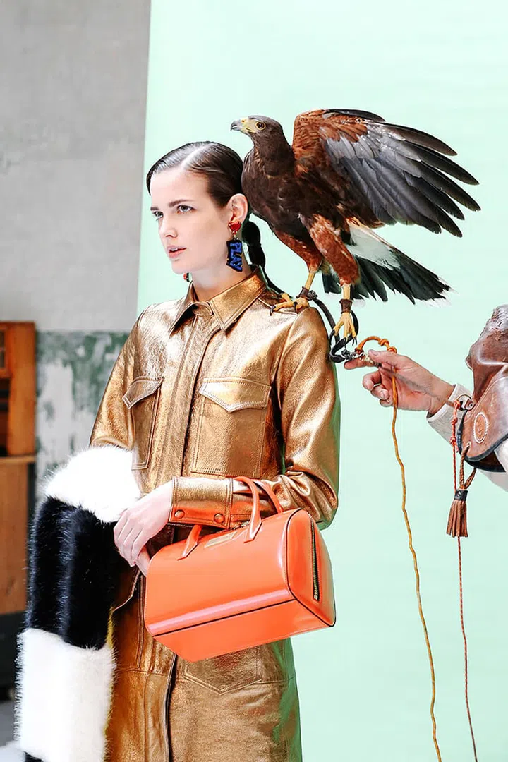 bimba y lola, fw15, synchrodogs