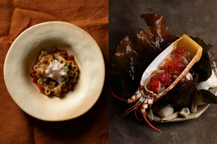 lifestyle news | somma solterra