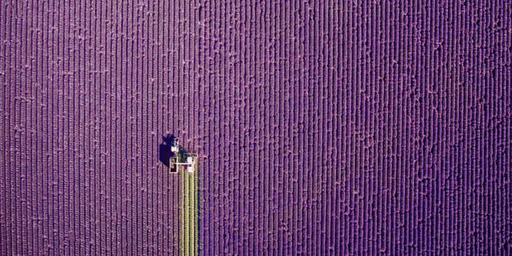 Best Drone Photos 2017