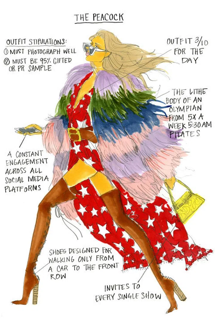 Illustrated: Julie Houts / Stylebop