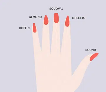 Nail shape