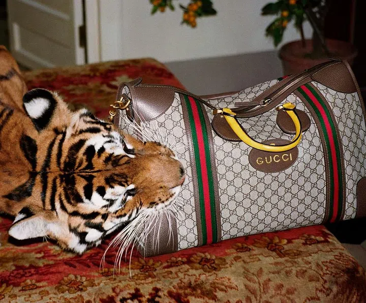 Photo: Courtesy of Gucci
