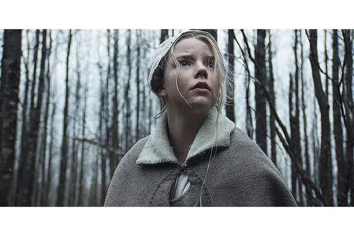 A witch wreaks bloody havoc on a heretical Puritan family living in the New England wilderness in this unnervingly quiet horror film.