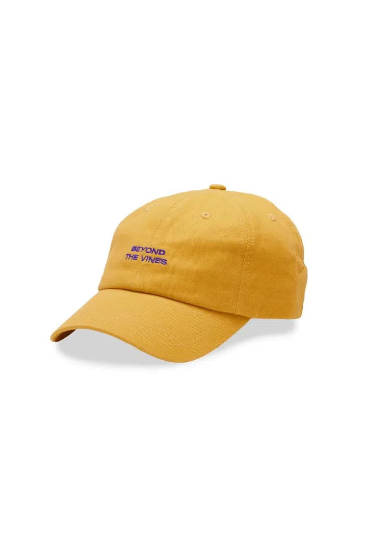 Christmas gift guide 2024 colleagues secret Santa under $50 Beyond The Vines BTV Twill logo cap