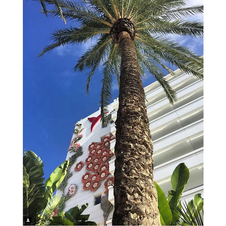 Take a break from partying to get a snap of the flower-covered walls of this trendy hotel.