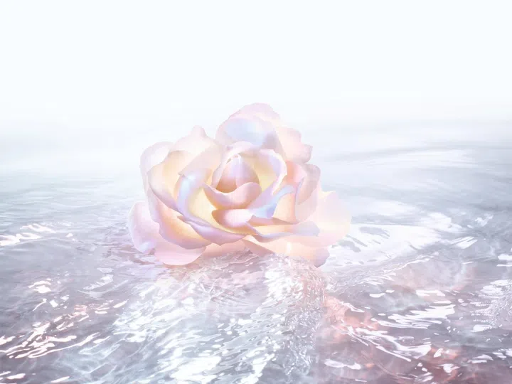 Dior Prestige White Rose