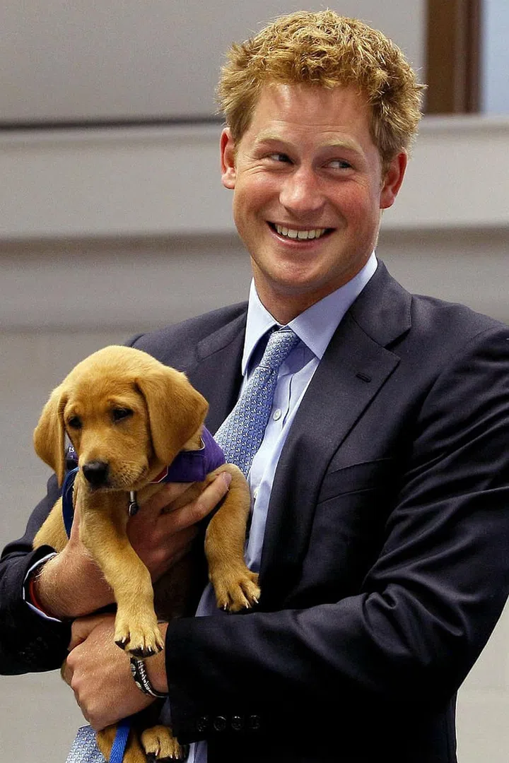 And certainly not the immediate family. (Sorry, Prince Harry.)Photo: Getty