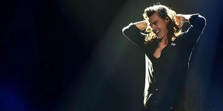 harry styles