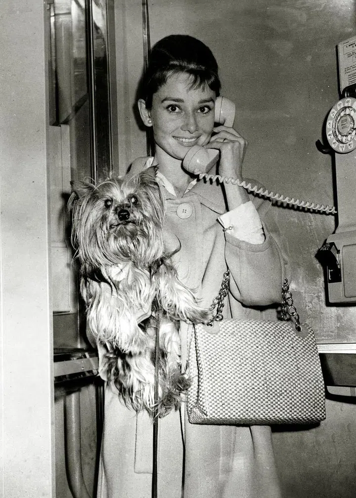 A canine companion makes the perfect accessory on the set of Breakfast at Tiffany's.