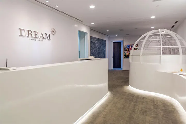 dream plastic surgery korean celebrity