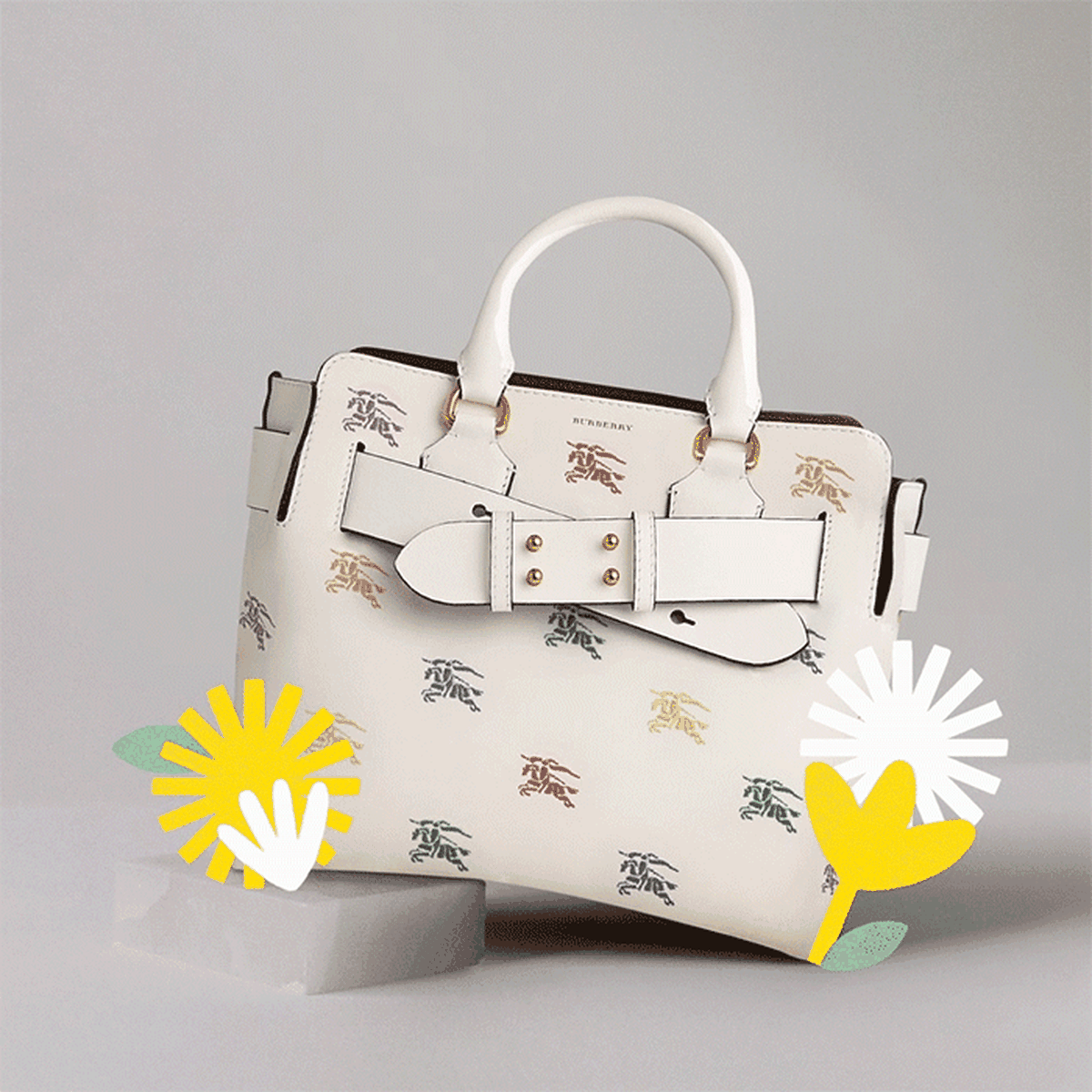 burberry conservatory, belt bag