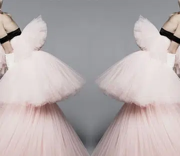 Carine Roitfeld's Shades Of Beauty