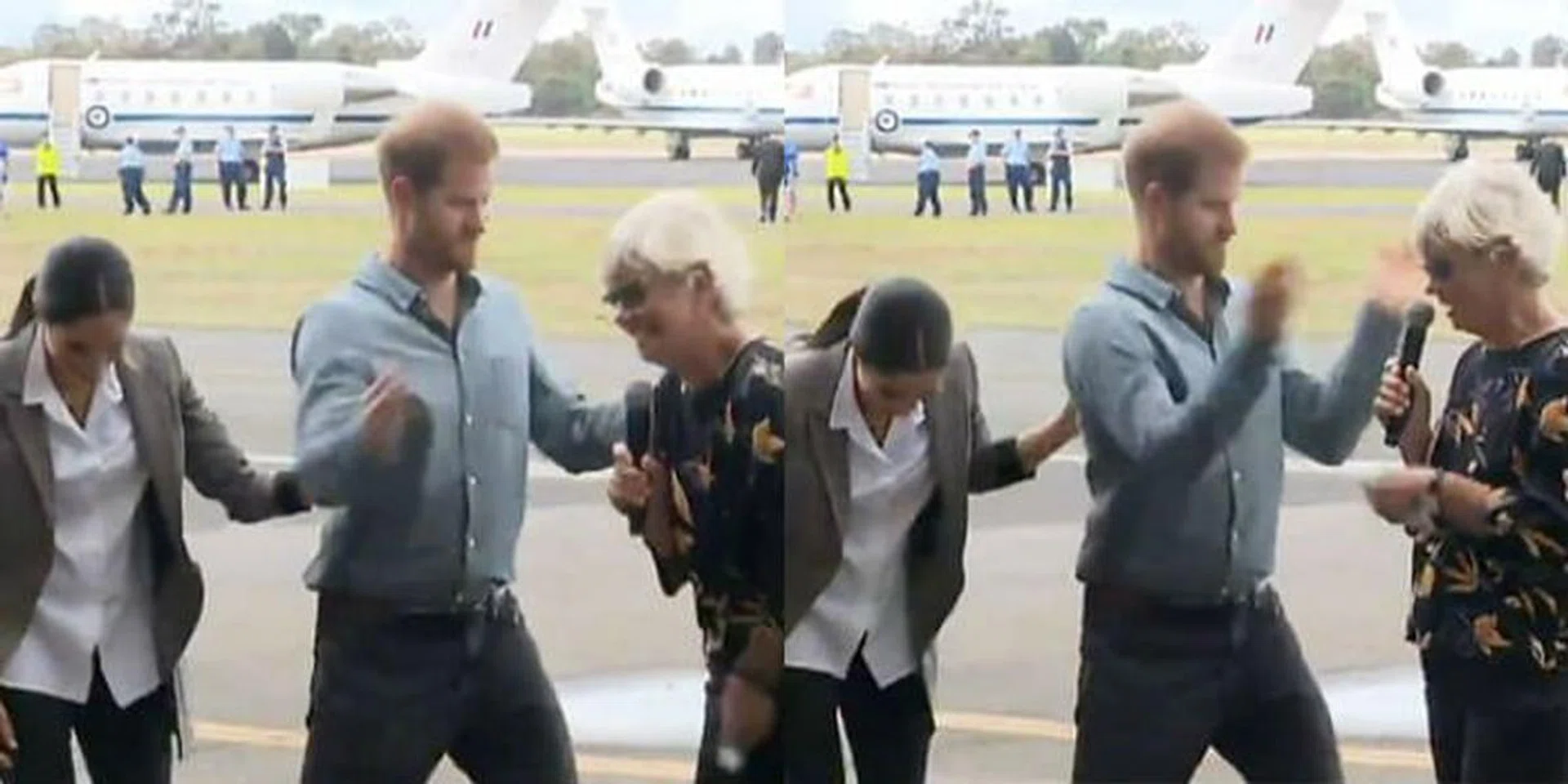 Prince Harry fly swatting