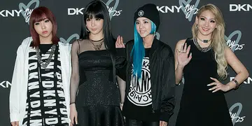 2NE1 fashion music videos