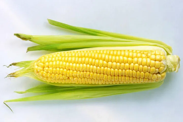 This summer favorite has unfortunately been subjected to some crazy genetic modifications. Because of this, when we bite into an ear of corn, our bodies are introduced to proteins that we don't know, which results in major sensitivities and could be why corn is such a common allergen.